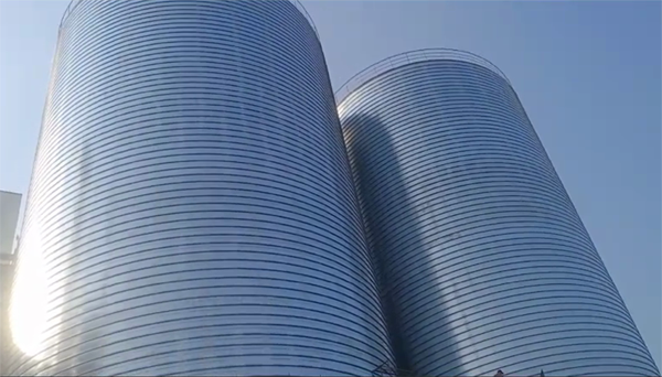 松阳2座混凝土高架卷板仓